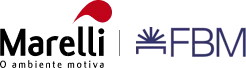 FBM